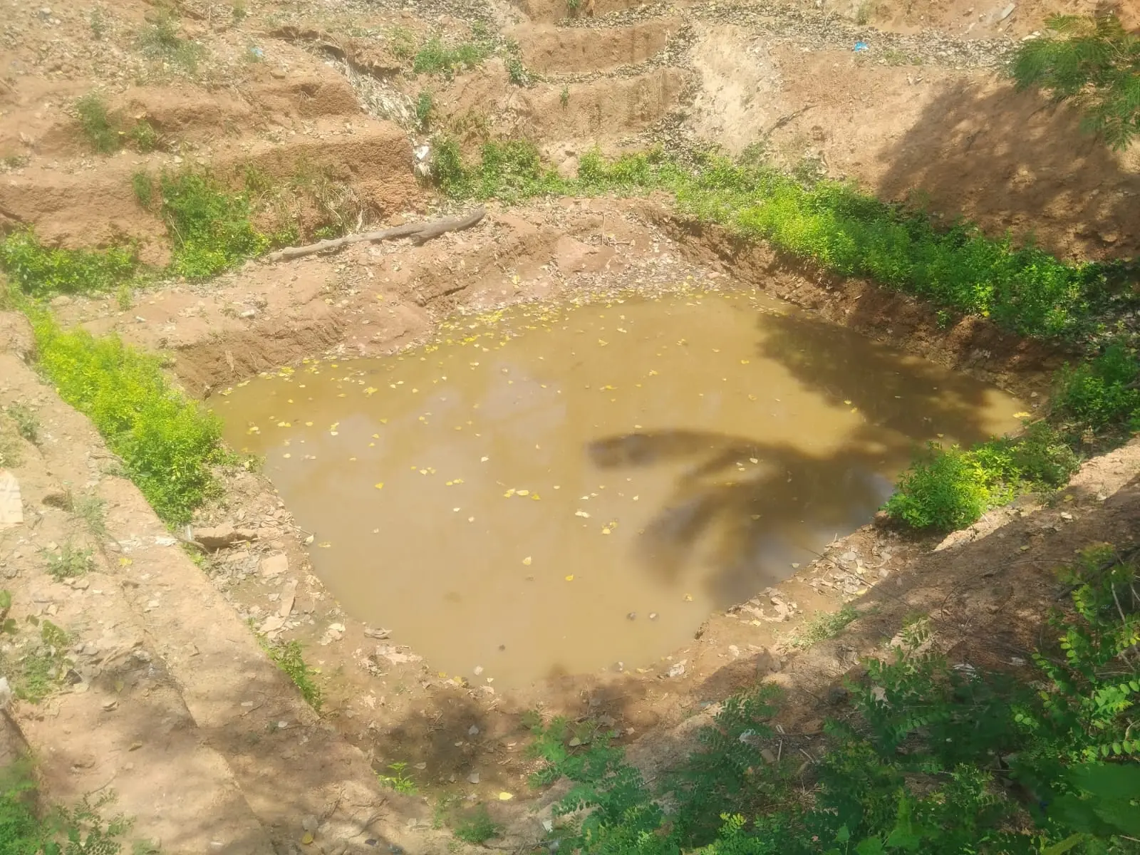 Existing Pond Embankment Survey — Gridline Engineering